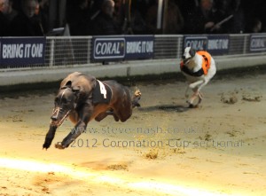 Rathglass Hero, Coral Coronation Cup, Romford, 2012