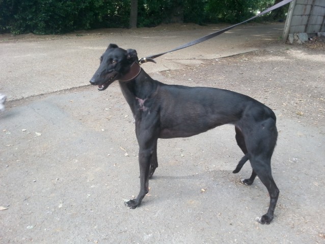 Intayacynthia -  posted a 30.17 (Aug 3rd) at Hove