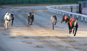 Southfield Jock 2Mar wline