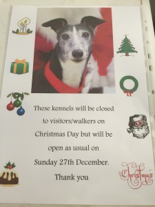 CHRISTMAS OPENING