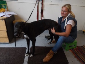 Viscount Ramber & Physio Marie